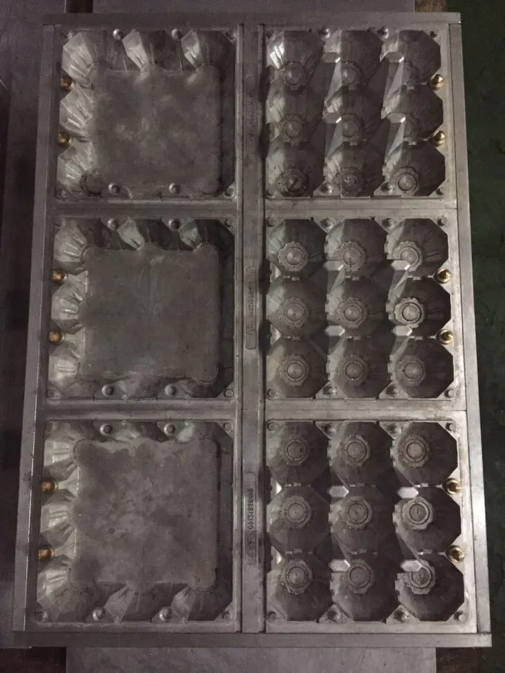 Plastic Fruit Tray Making Machine
